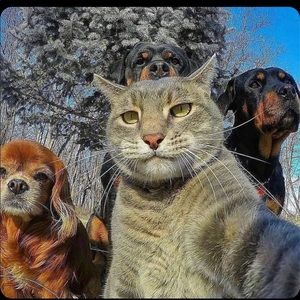 Meet your Posher, Kenny